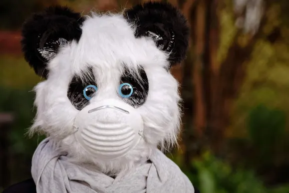 ХейСпин Казино Поддръжка